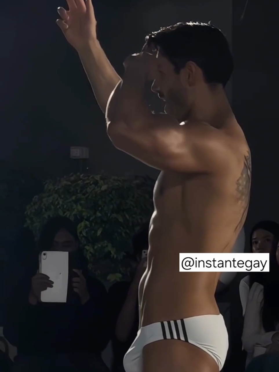 @Instantegay