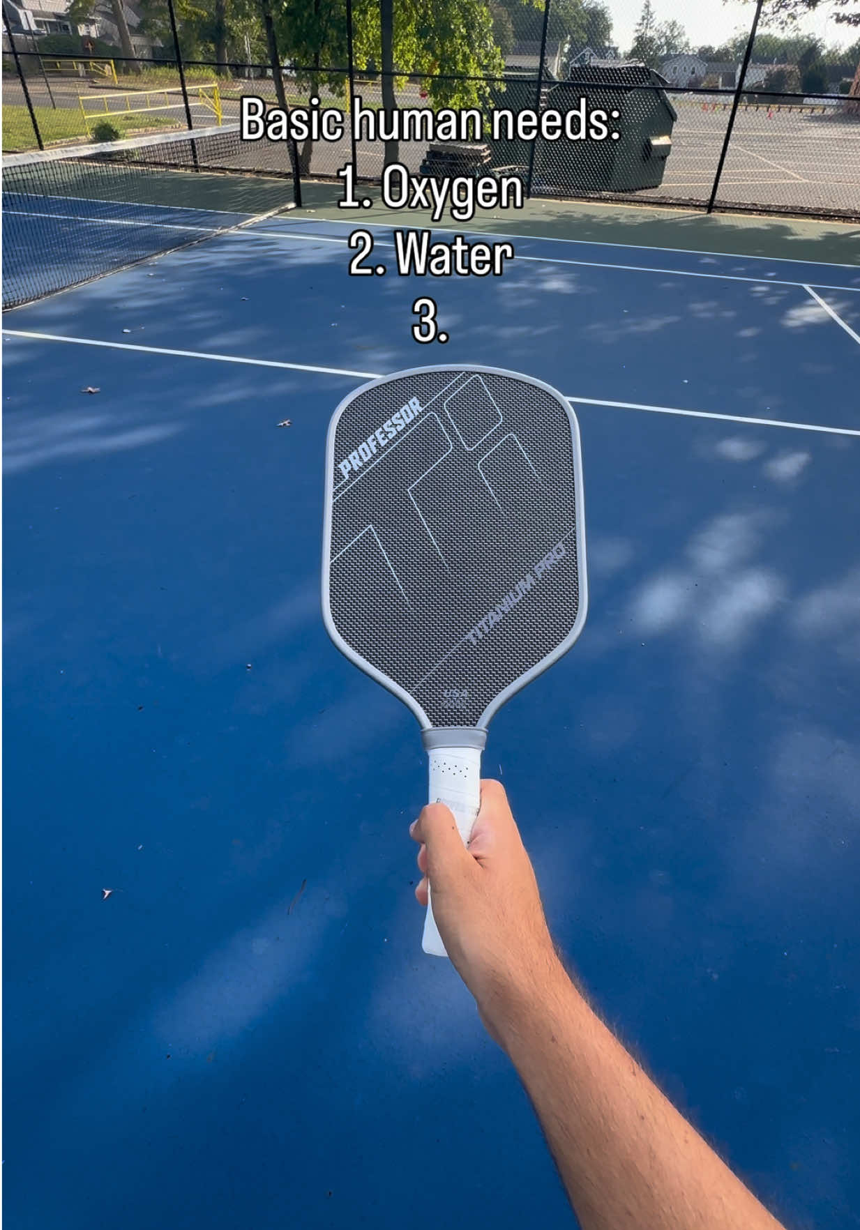 @Professor Pickleball