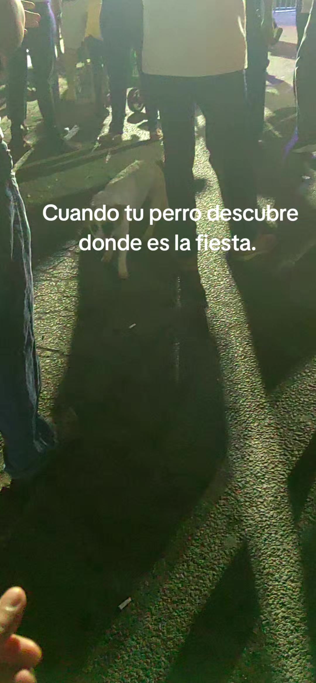 @merari 🍒