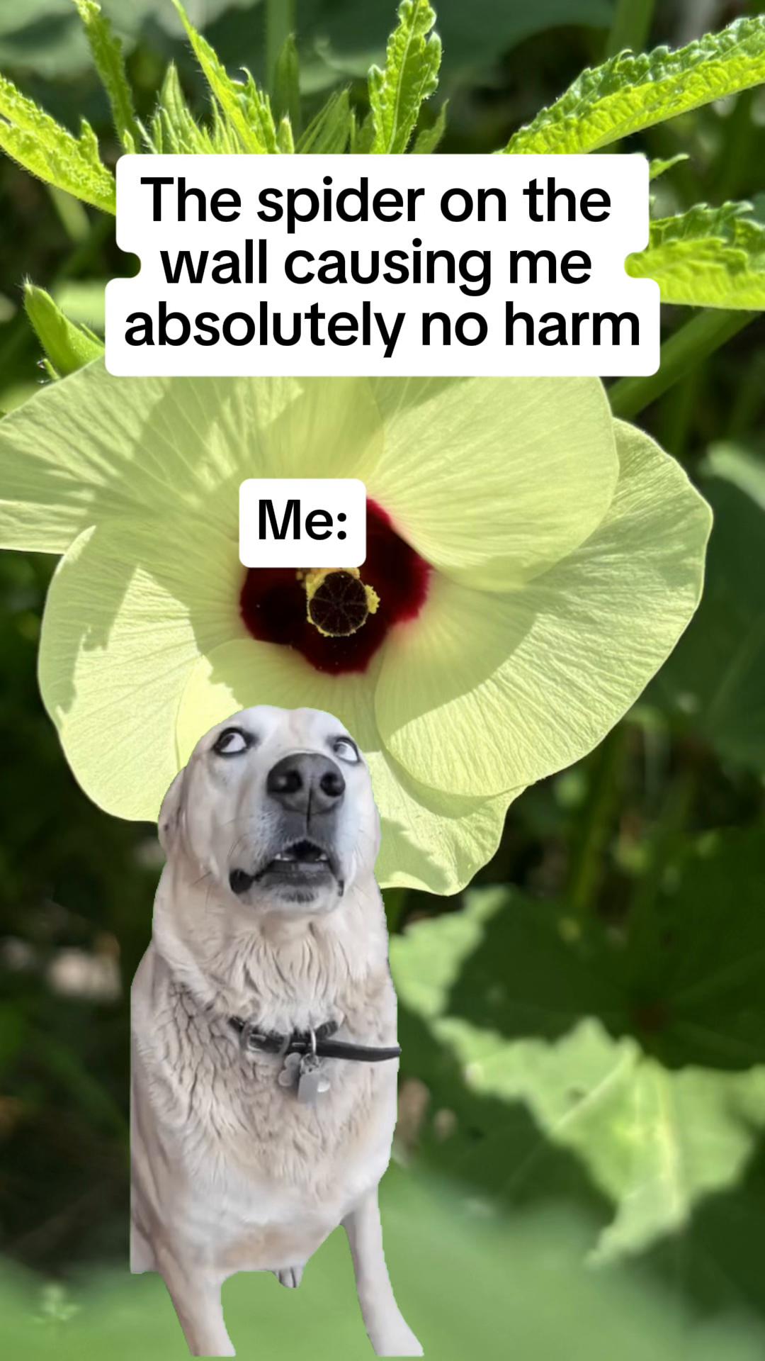 @Boredouttamymind