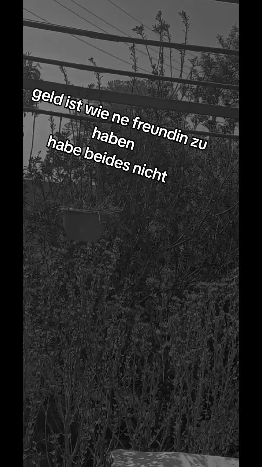 @່treckertreck