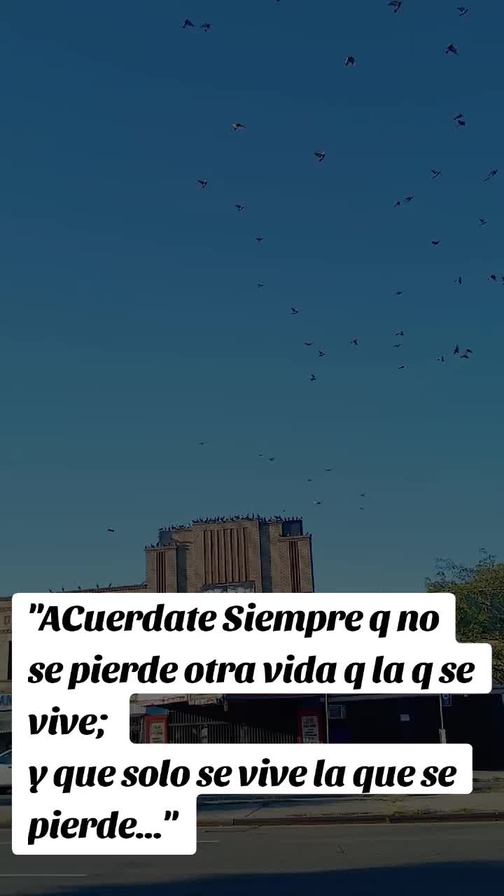 @ERIk TIWI