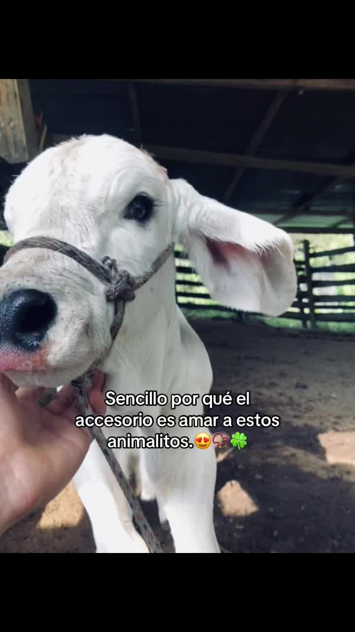 @𝕰𝖘𝖙𝖊𝖇𝖆𝖓🎈