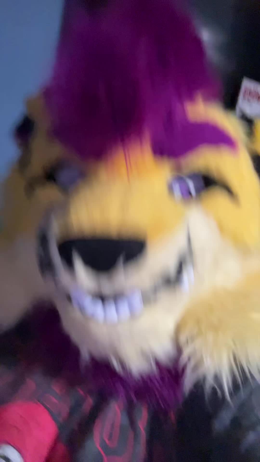 @Wolfyy!! ‼️‼️