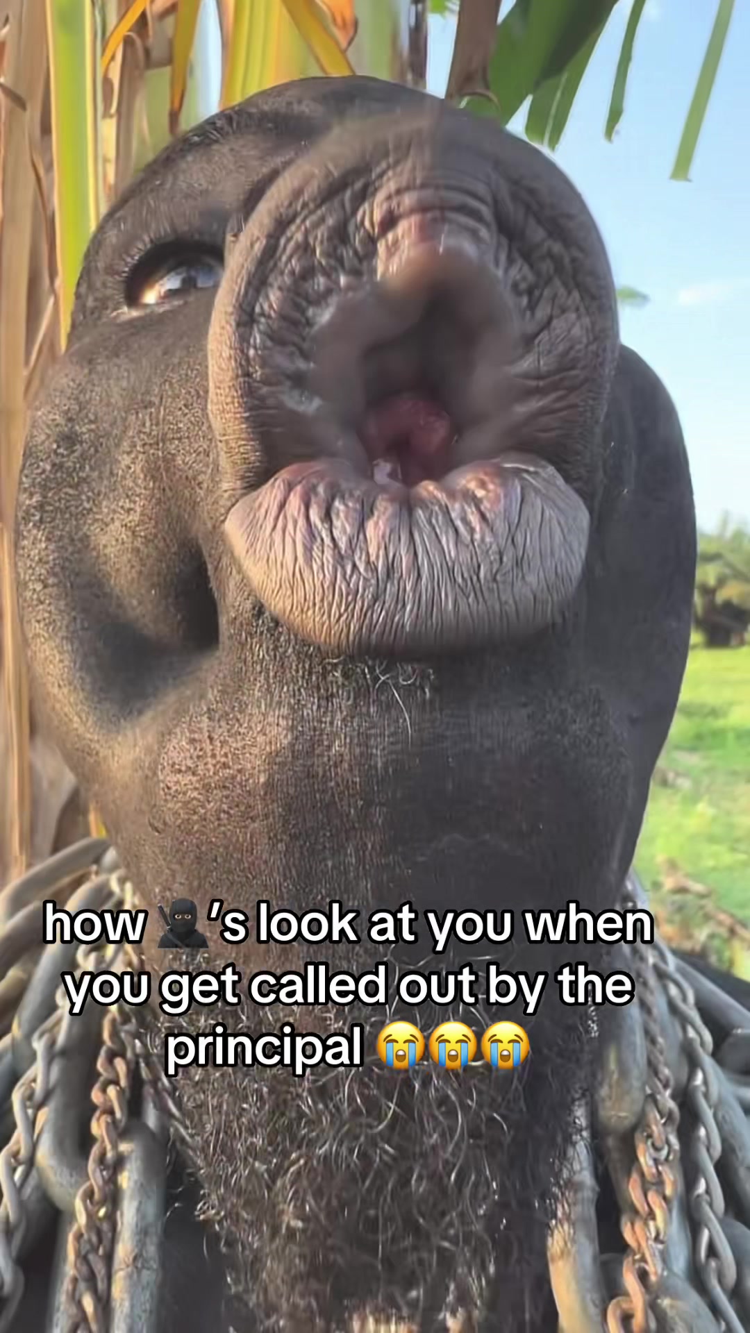 @bootieeeee