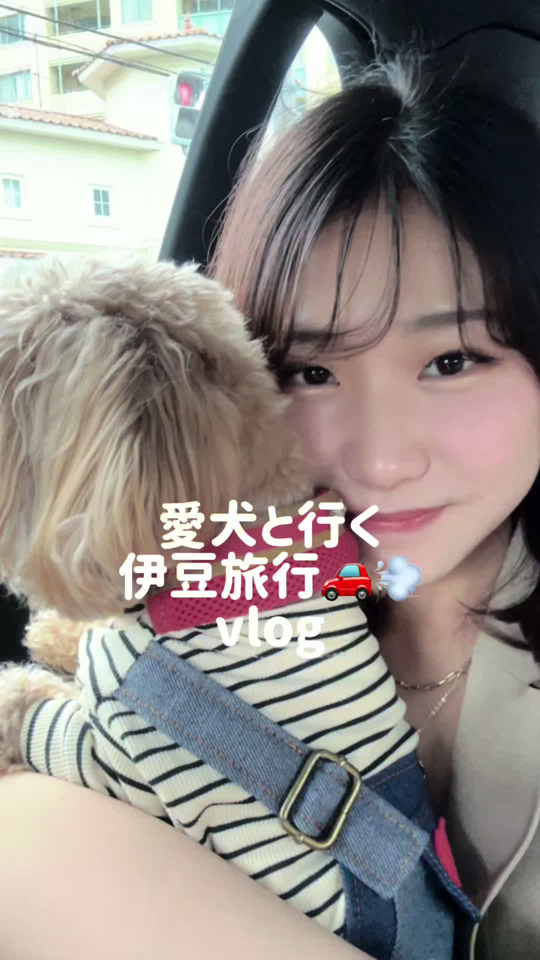 @kokolog / ココログ