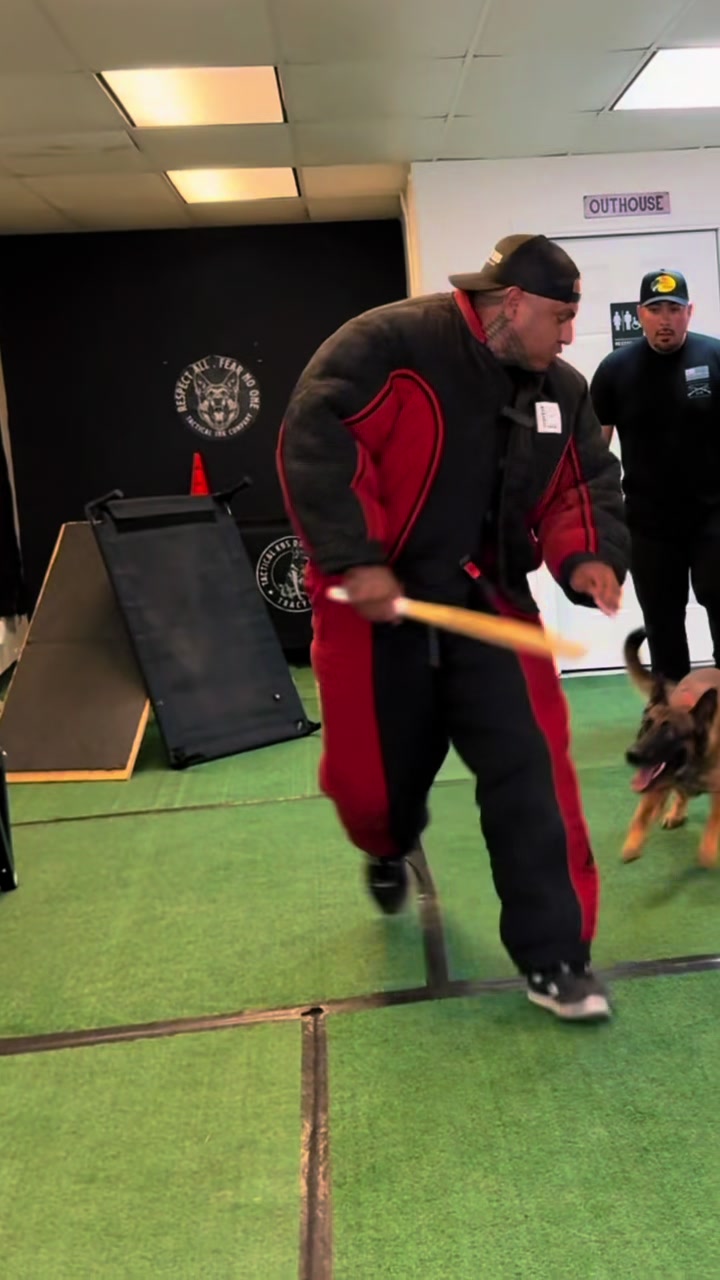 @Tactical K9s Dog Training