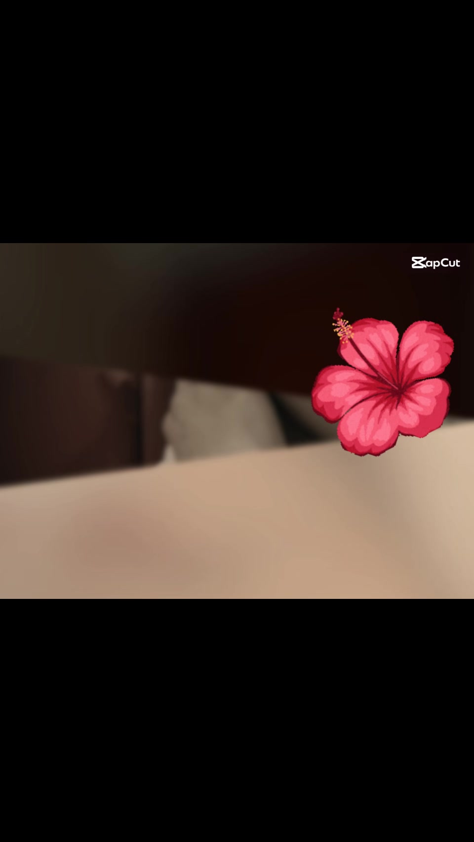@ماہ نوراقبال🥀🍂✨️