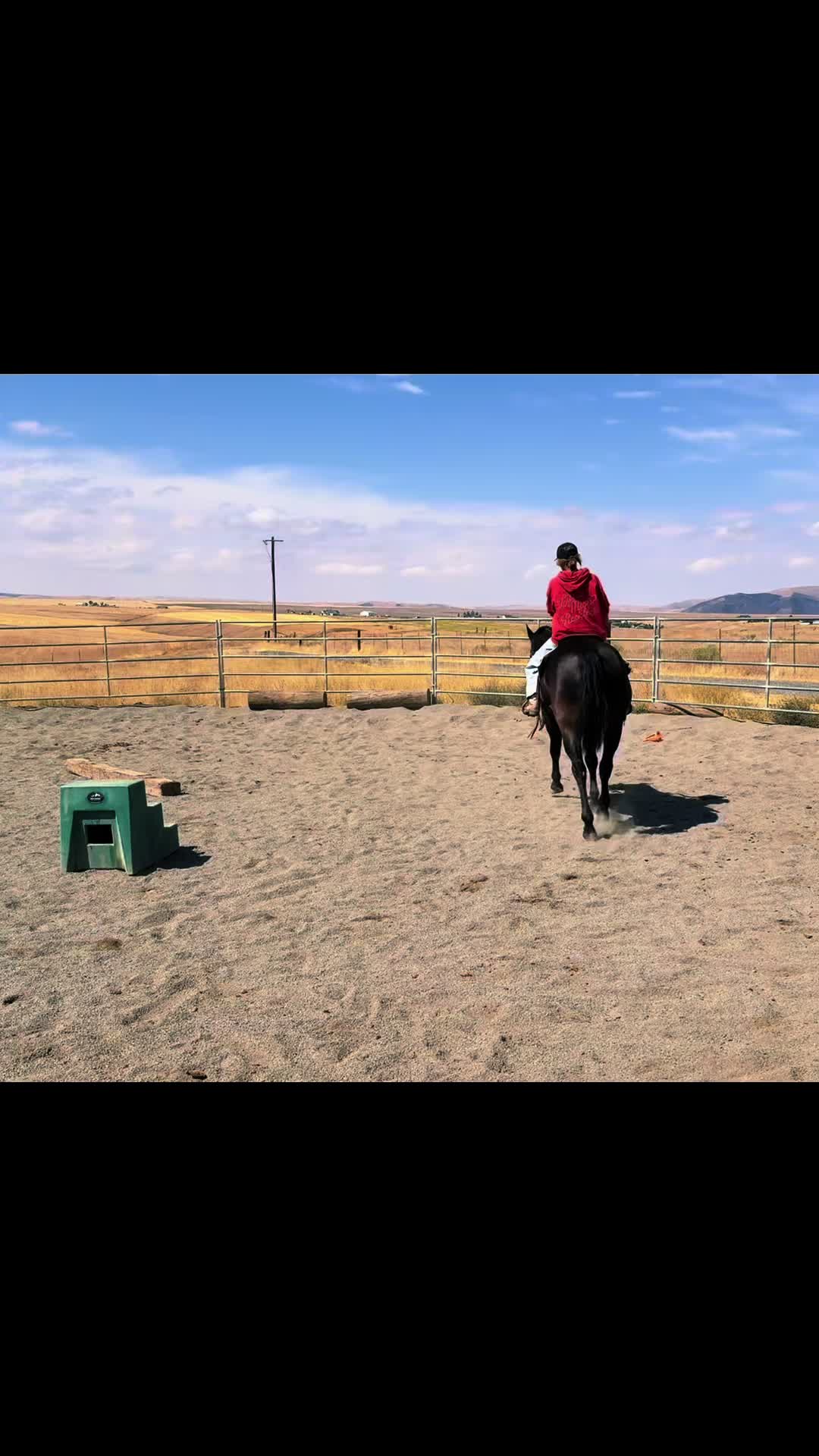 @Cowgirl Tuff Colt Training ❤️