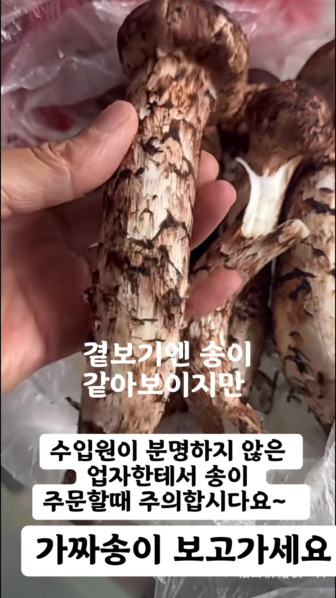 @원영-연변로찐