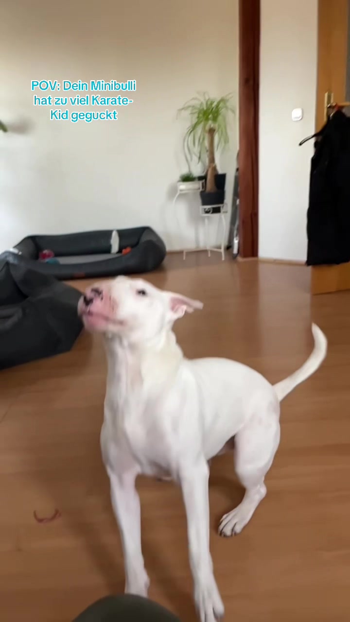 @Rumpelstilzchen