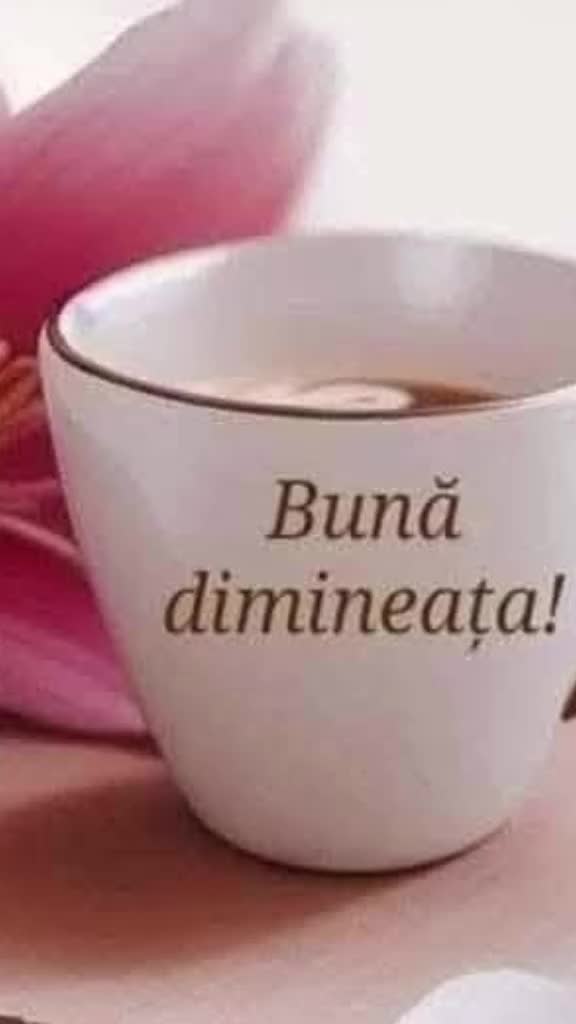 @Diaconu Ileana