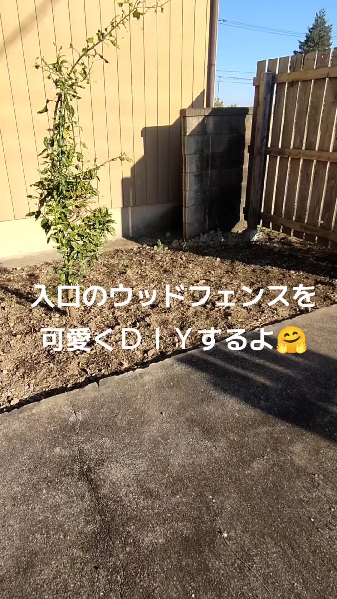 @ANIMAL♡M