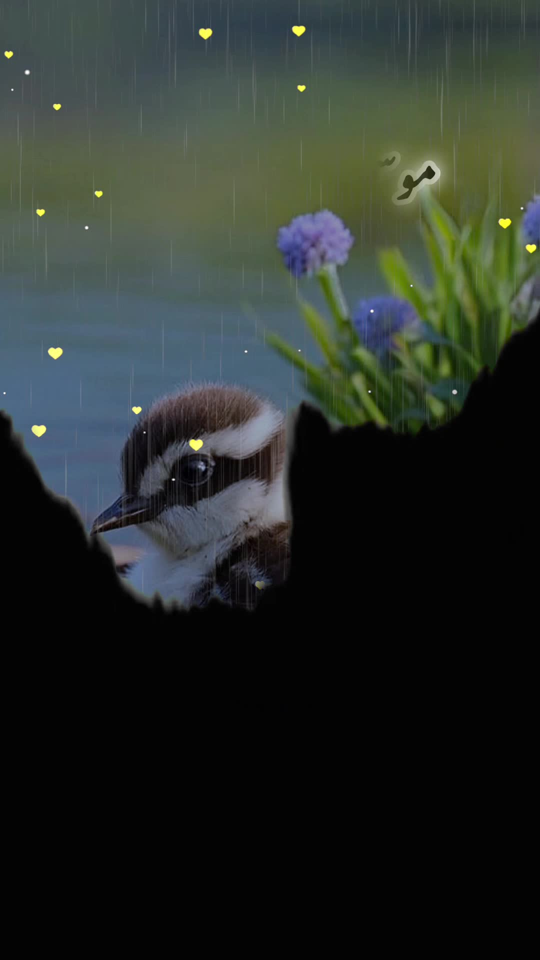 @❤️سزائے عشق😭