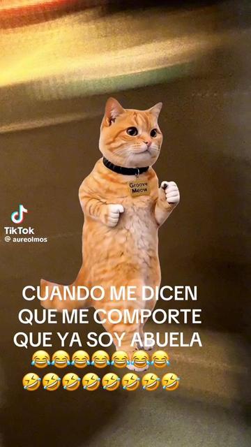 @viky
