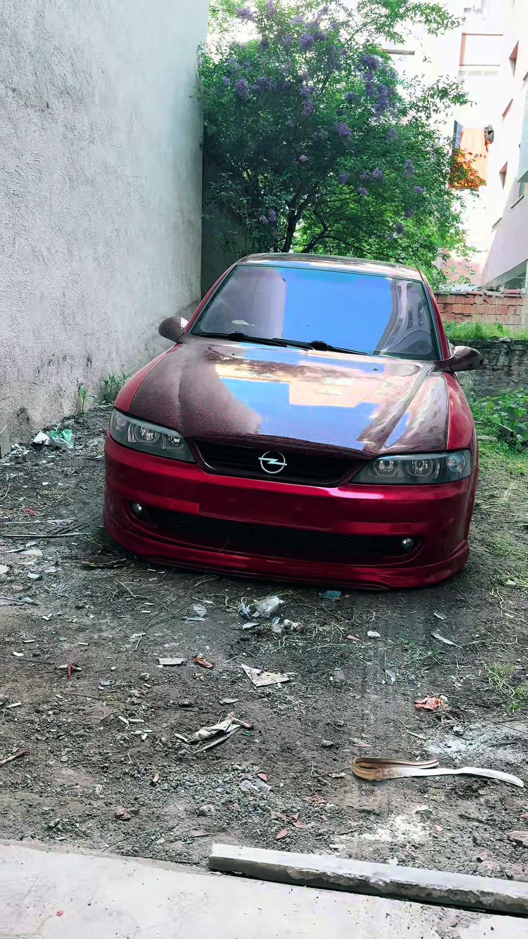@𝓐𝓵𝓹𝓮𝓻 çı𝓽𝓪𝓴