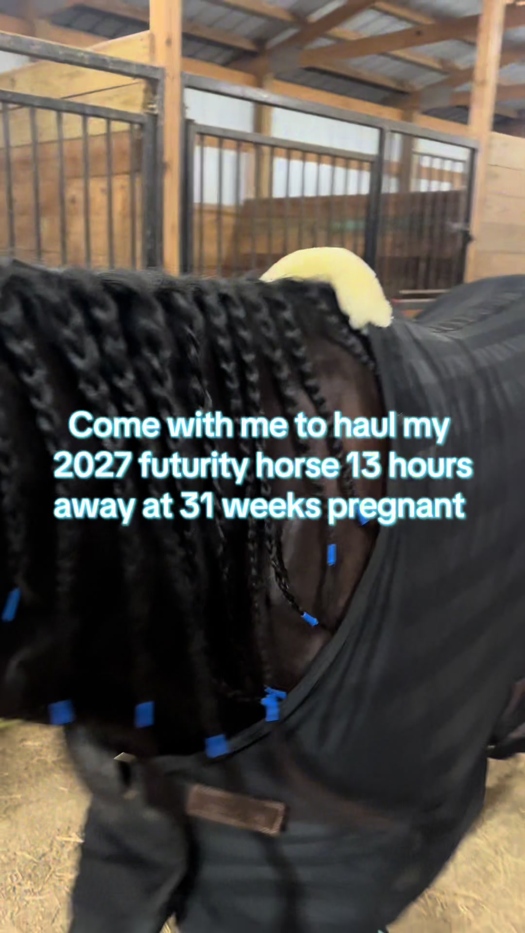 @Living Lucky Quarter Horses