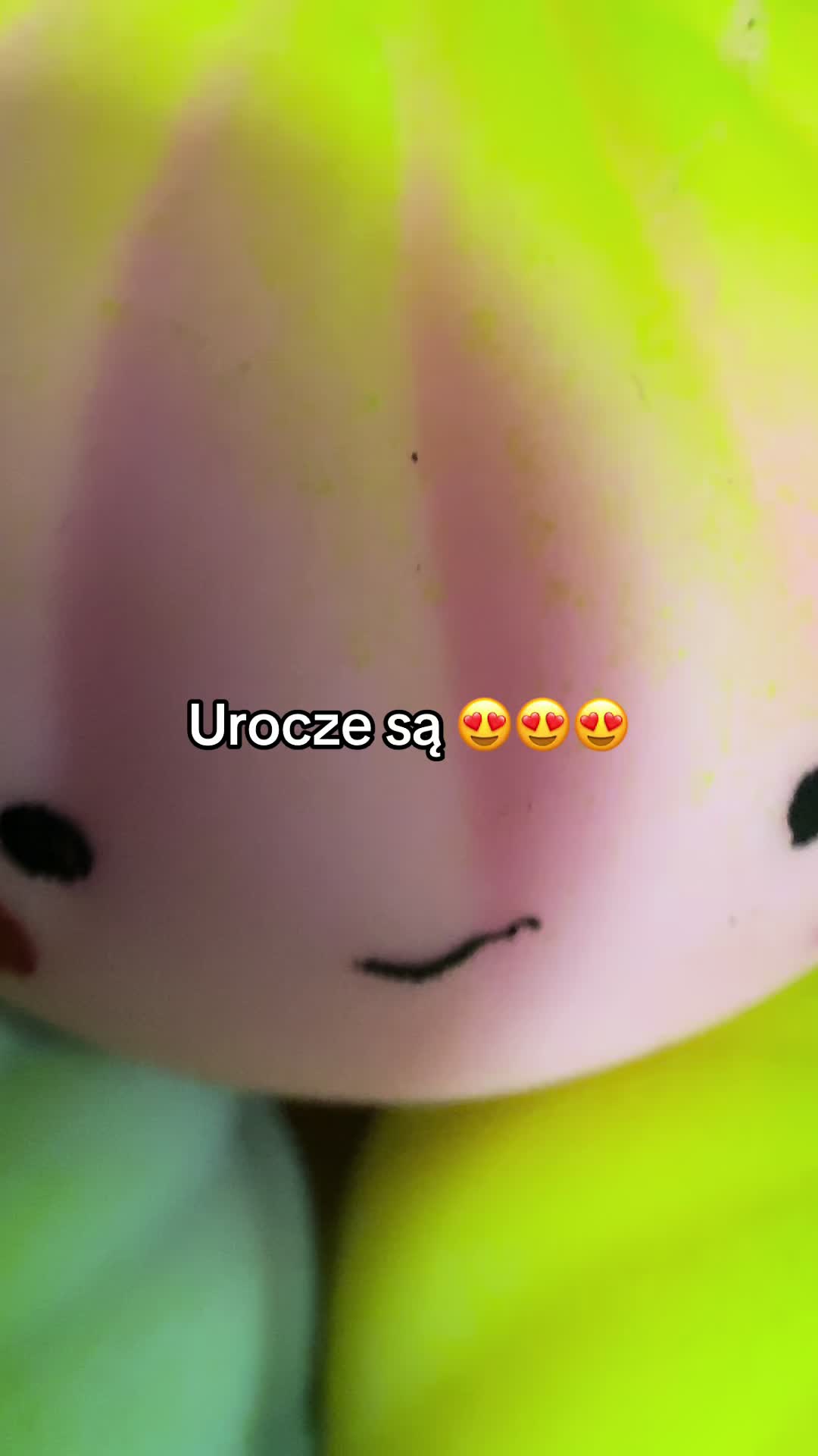 @Prezentom 🎁