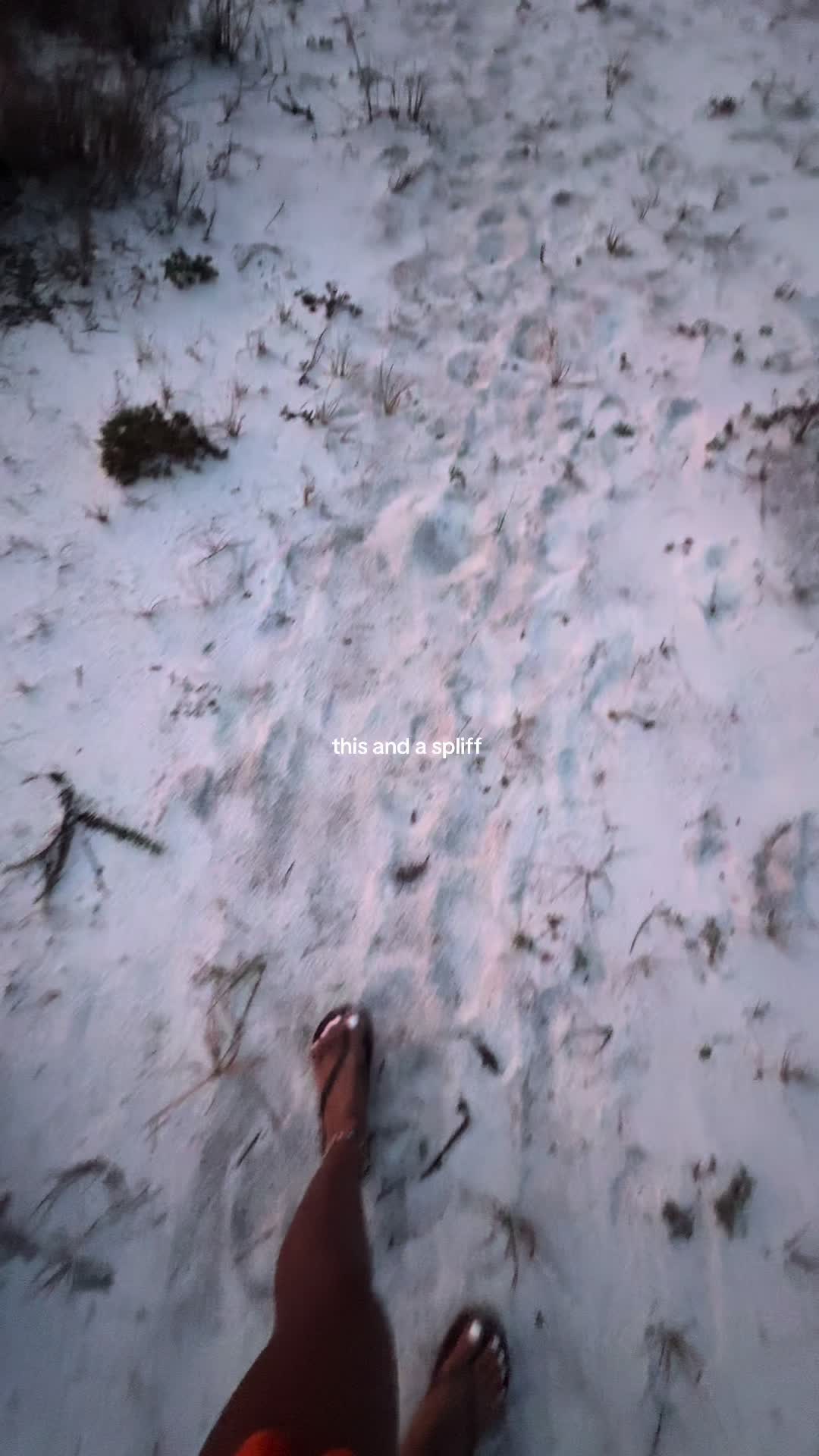 @cokonut