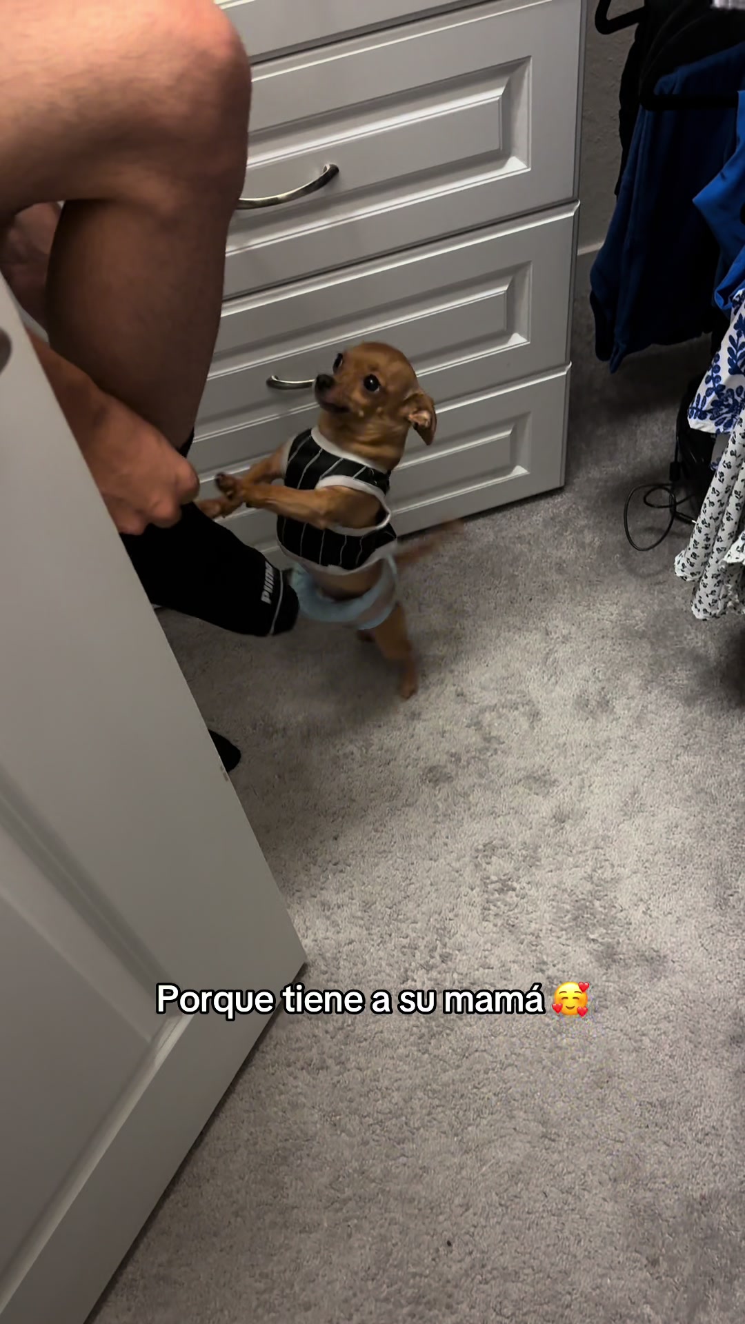 @Gloria Hernandez