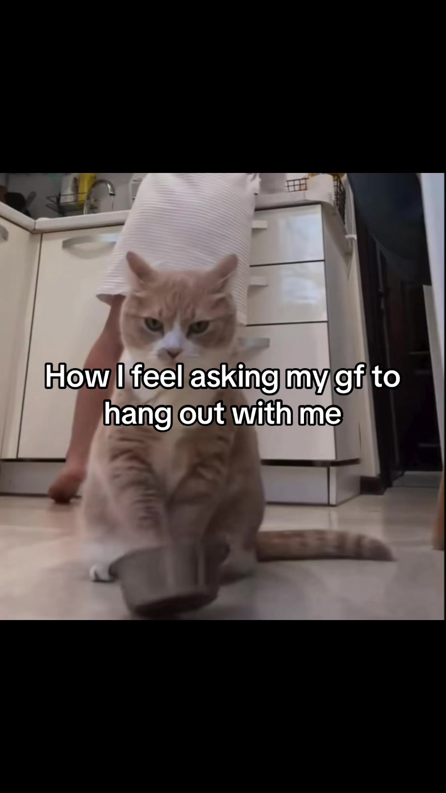 @LavanderCat