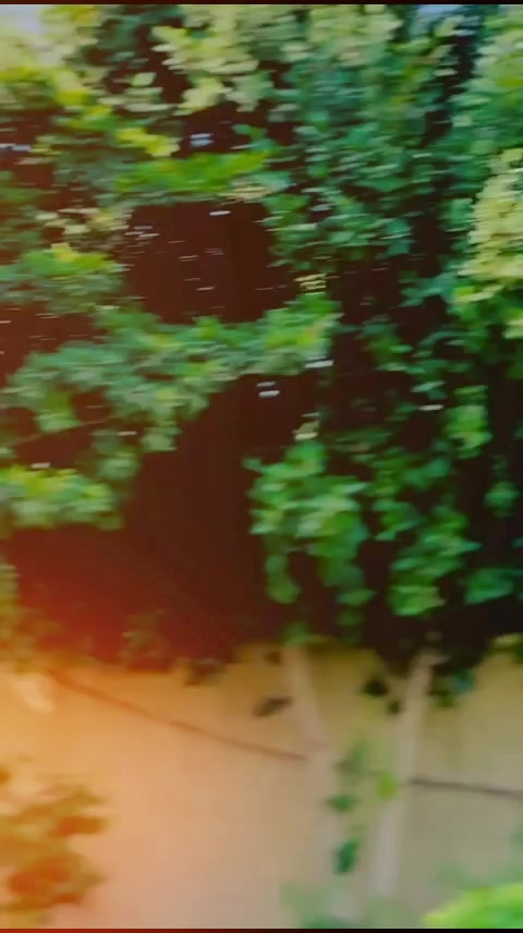 @𝓢𝓪𝓭𝓪𝓺𝓪𝓽𝓪𝓯𝓰𝓱𝓪𝓷 ❤