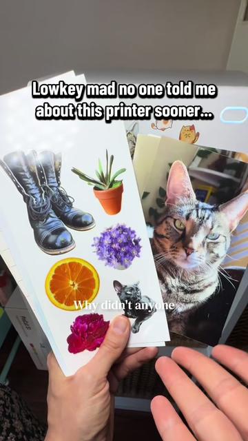 @craftycatfinds