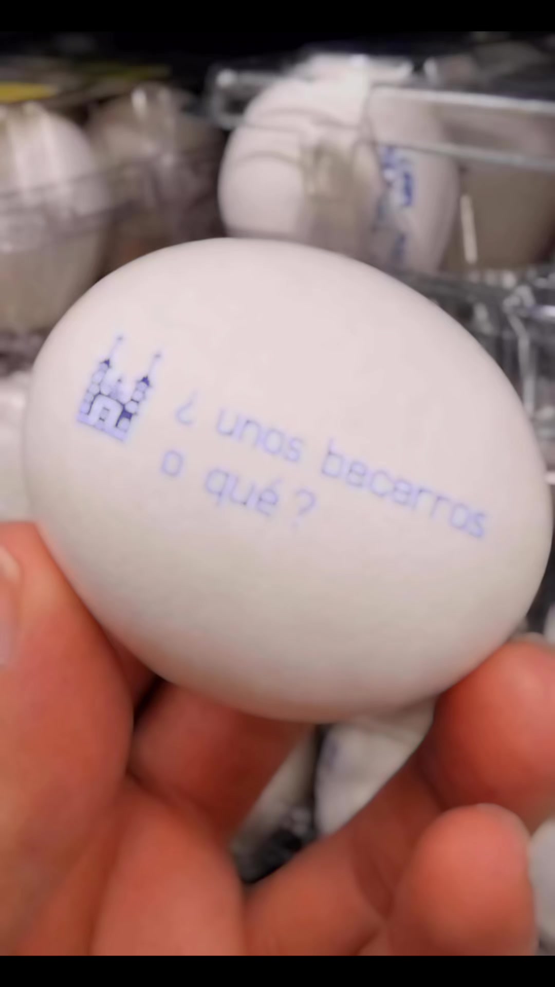 @Susana Torres