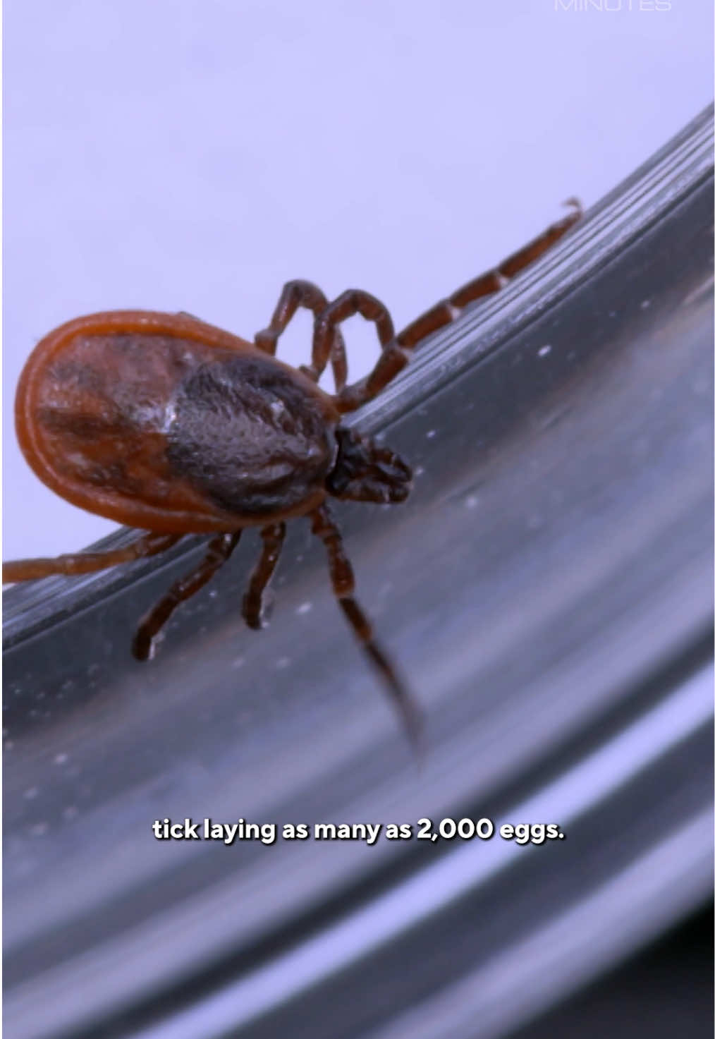 @60 Minutes