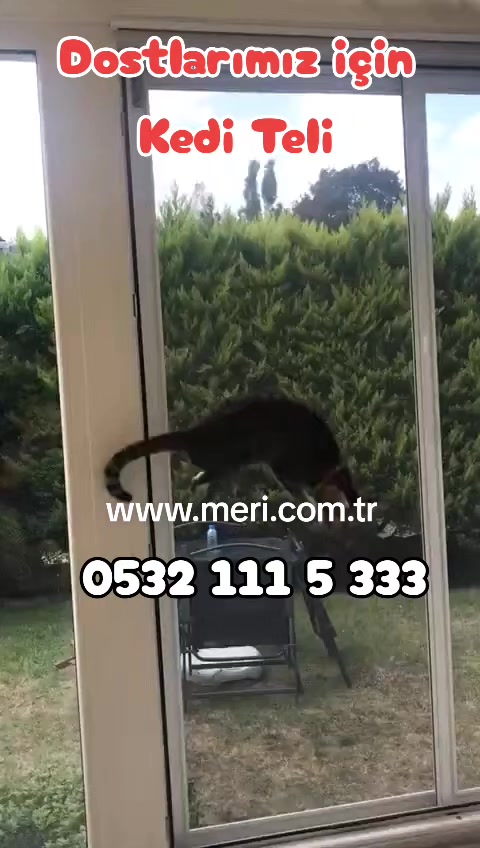 @Meri Sineklik İsmail Kurt