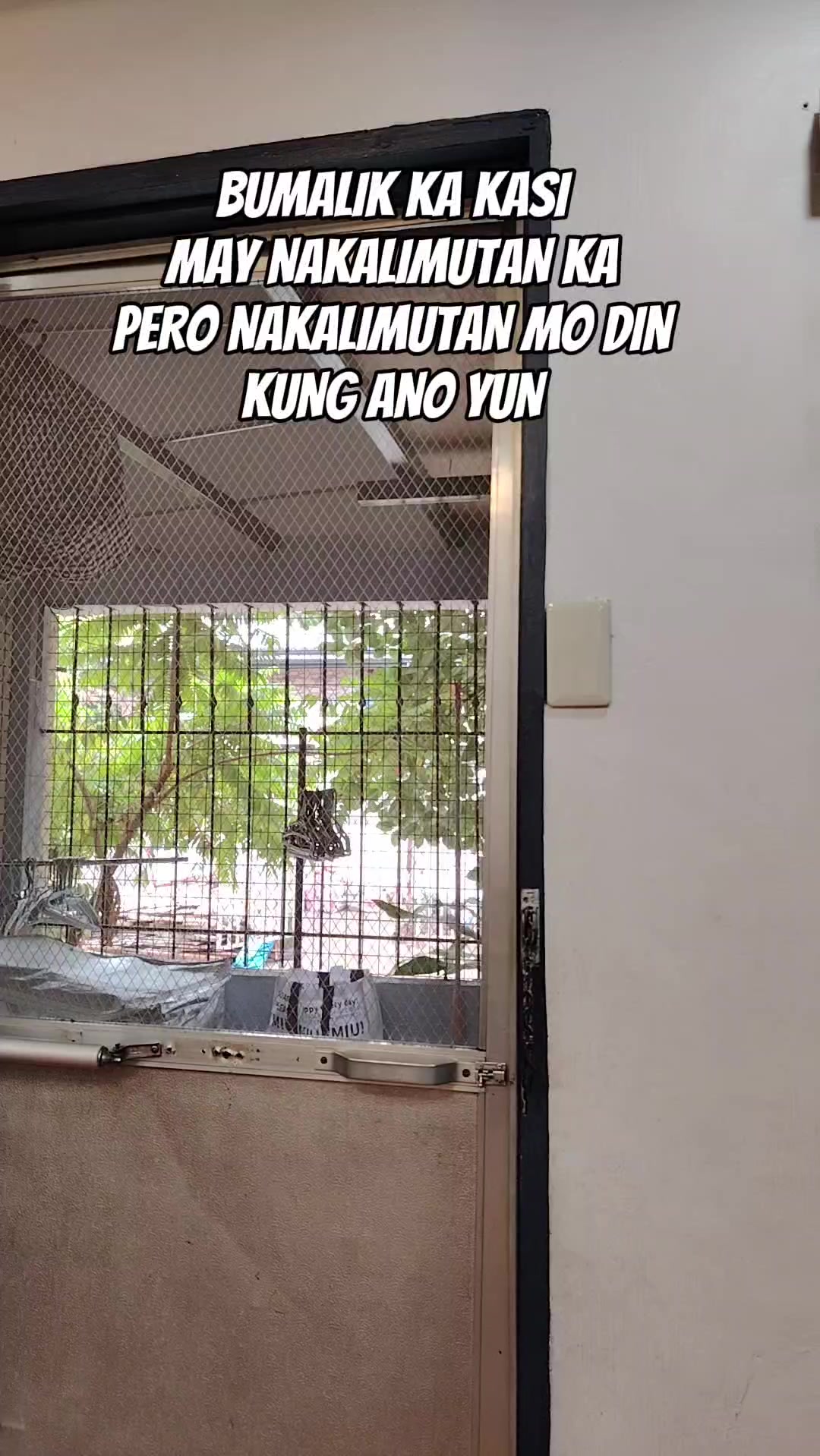 @punetnet