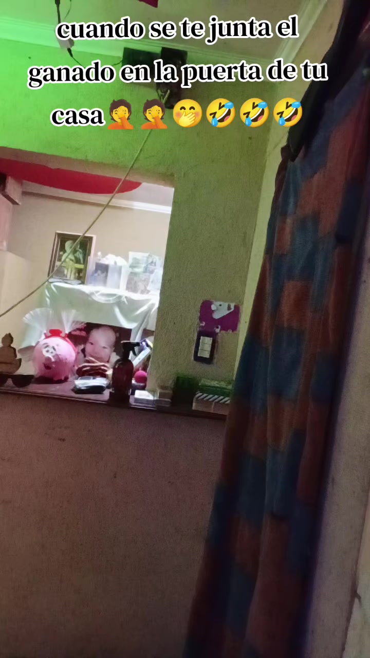 @rodrigorodrigue034