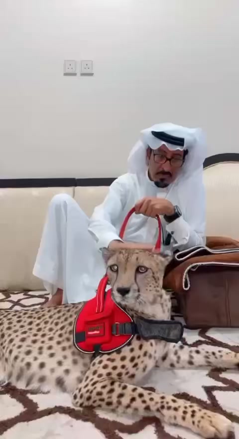 @{محمدالخالدي}