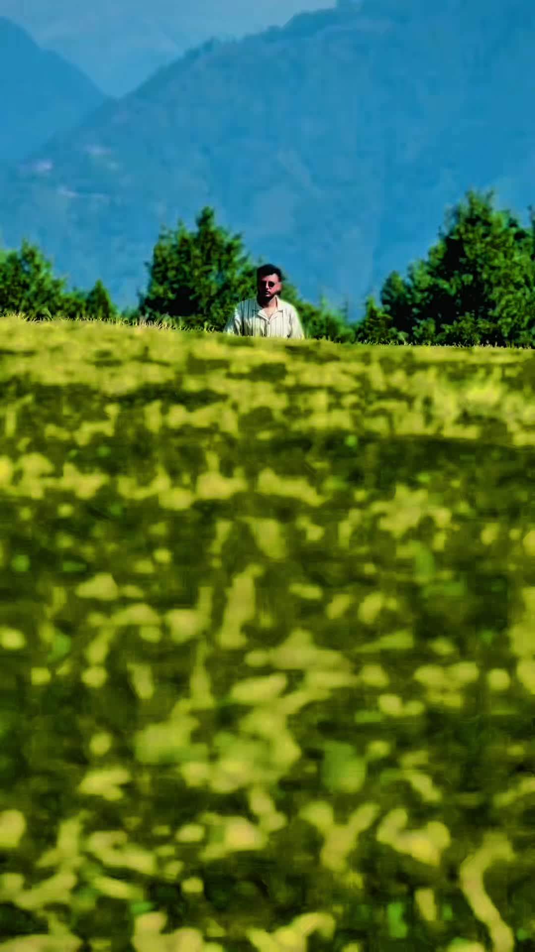 @Mehran Yousafzai