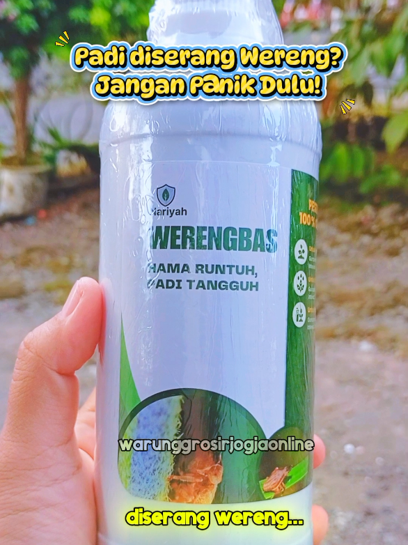 @warung grosir jogja online