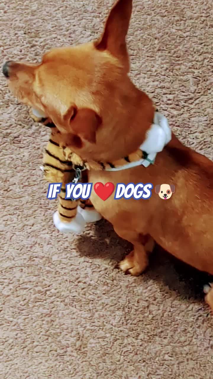 @❤️KimberlyBerry ❤️