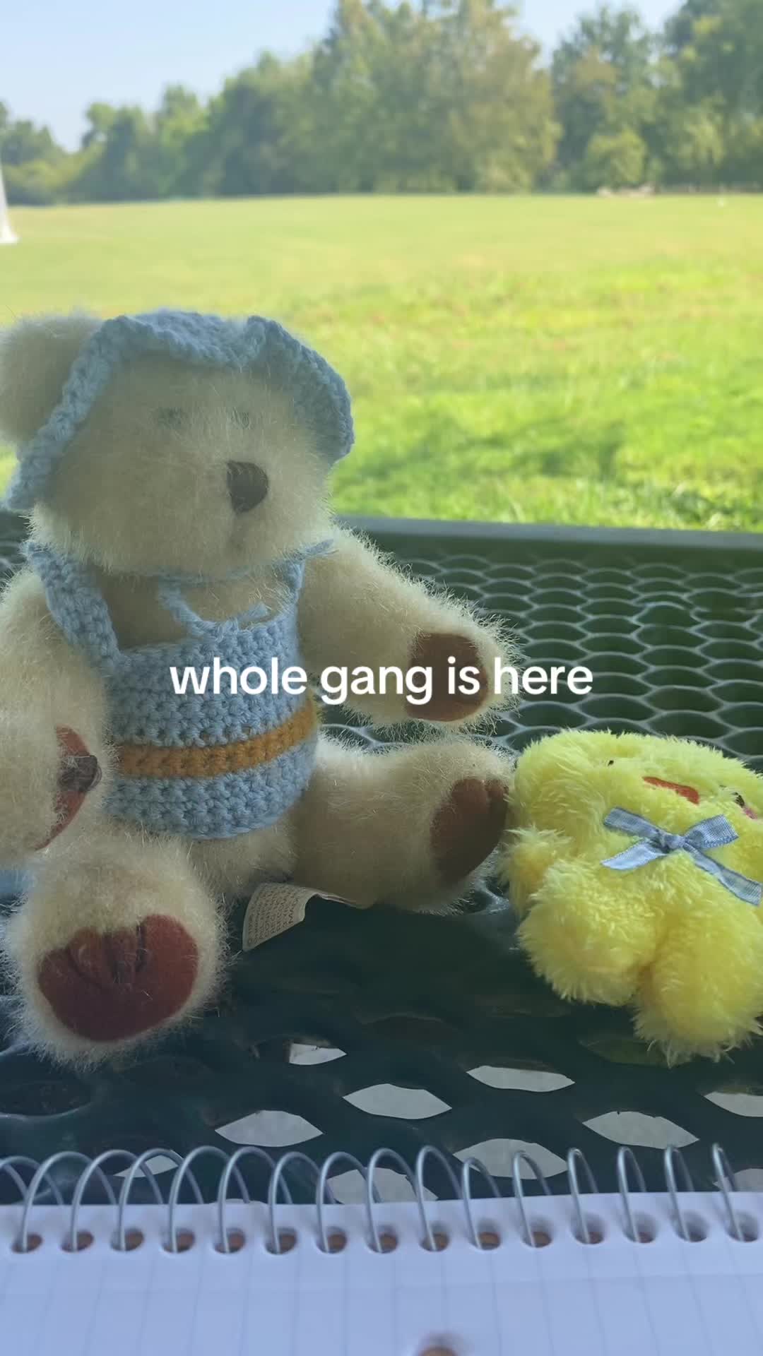 @doofusdiaries