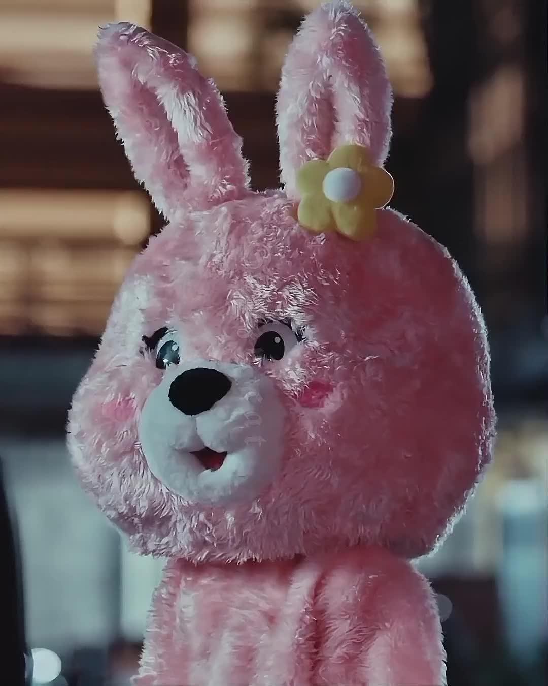 @๐พ๐๐๐๐ ๐๐๐