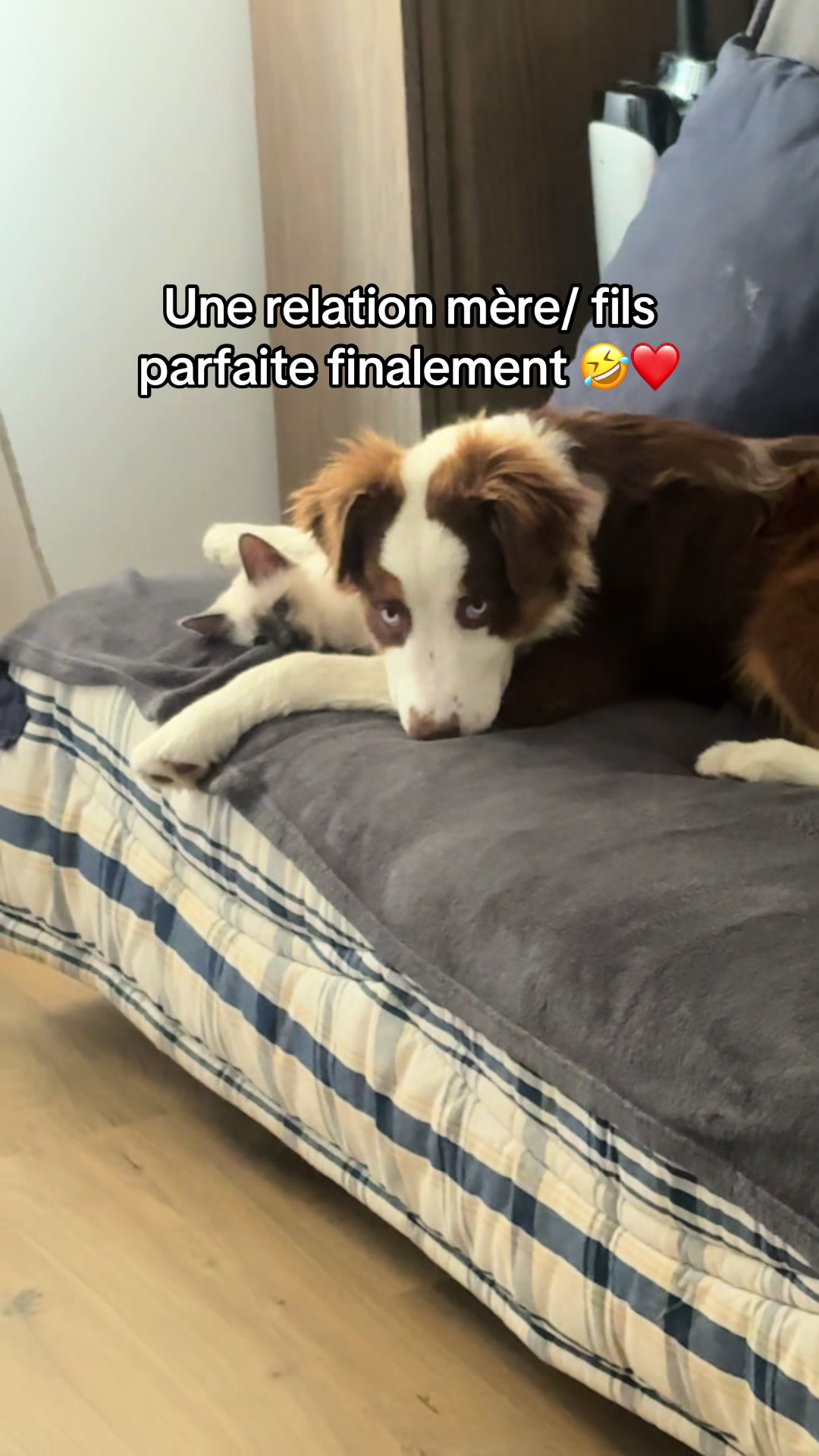 @Bubalu & Mum 🐶