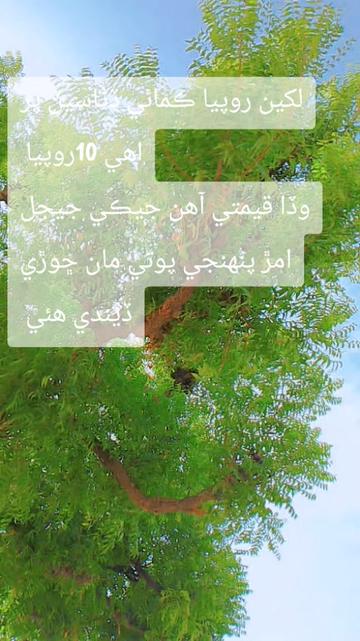 @Faqeer M L Jaisalmeri