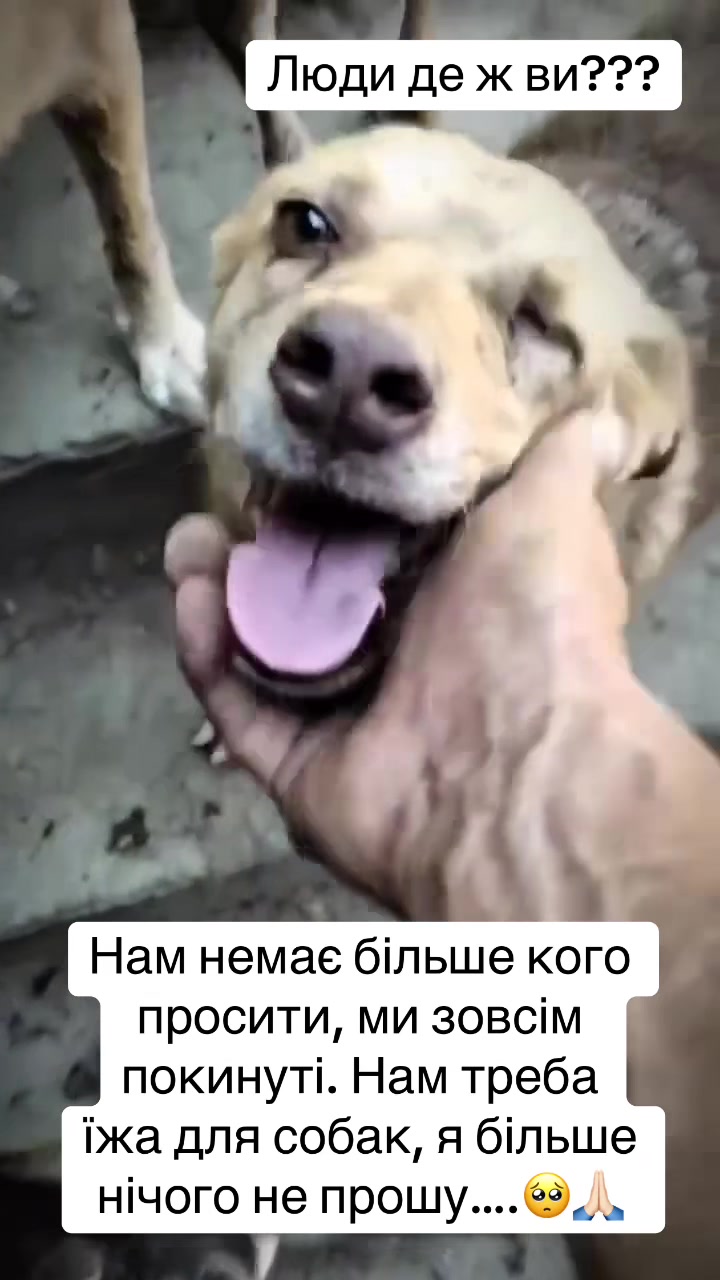 @kvitochki222