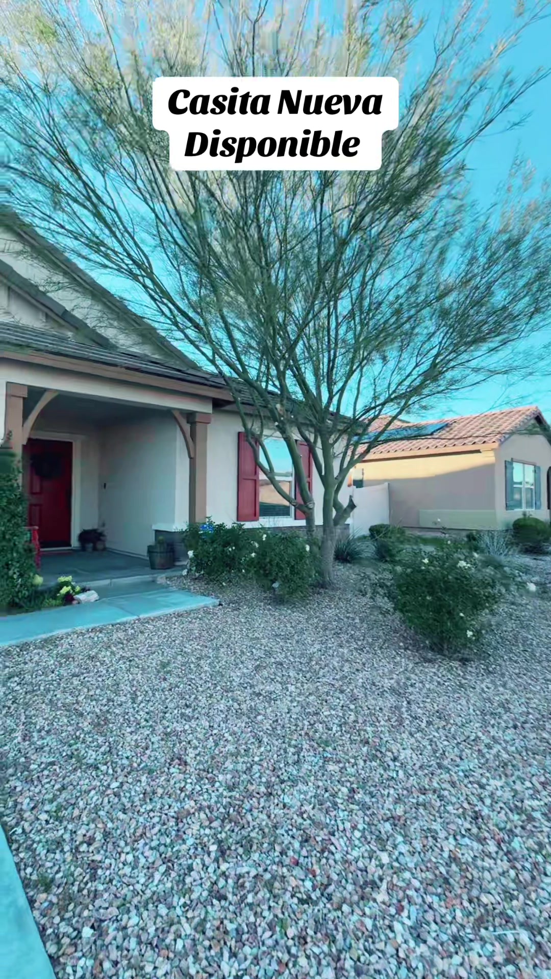 @Vicky Rios Realtor