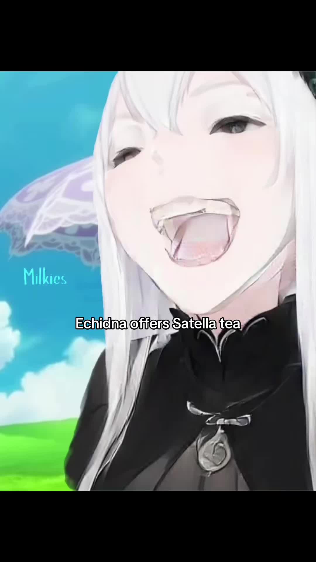 @Milkies/Echidna