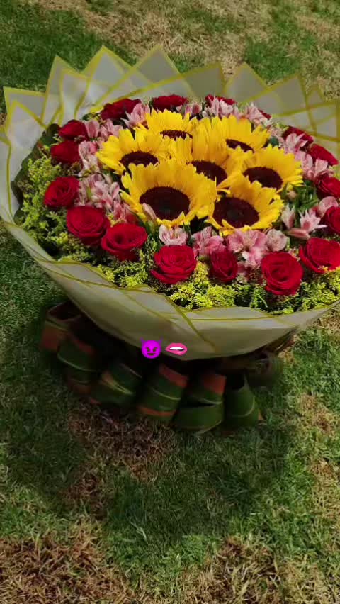 @chapiss