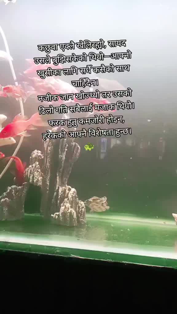 @Anita Thapa