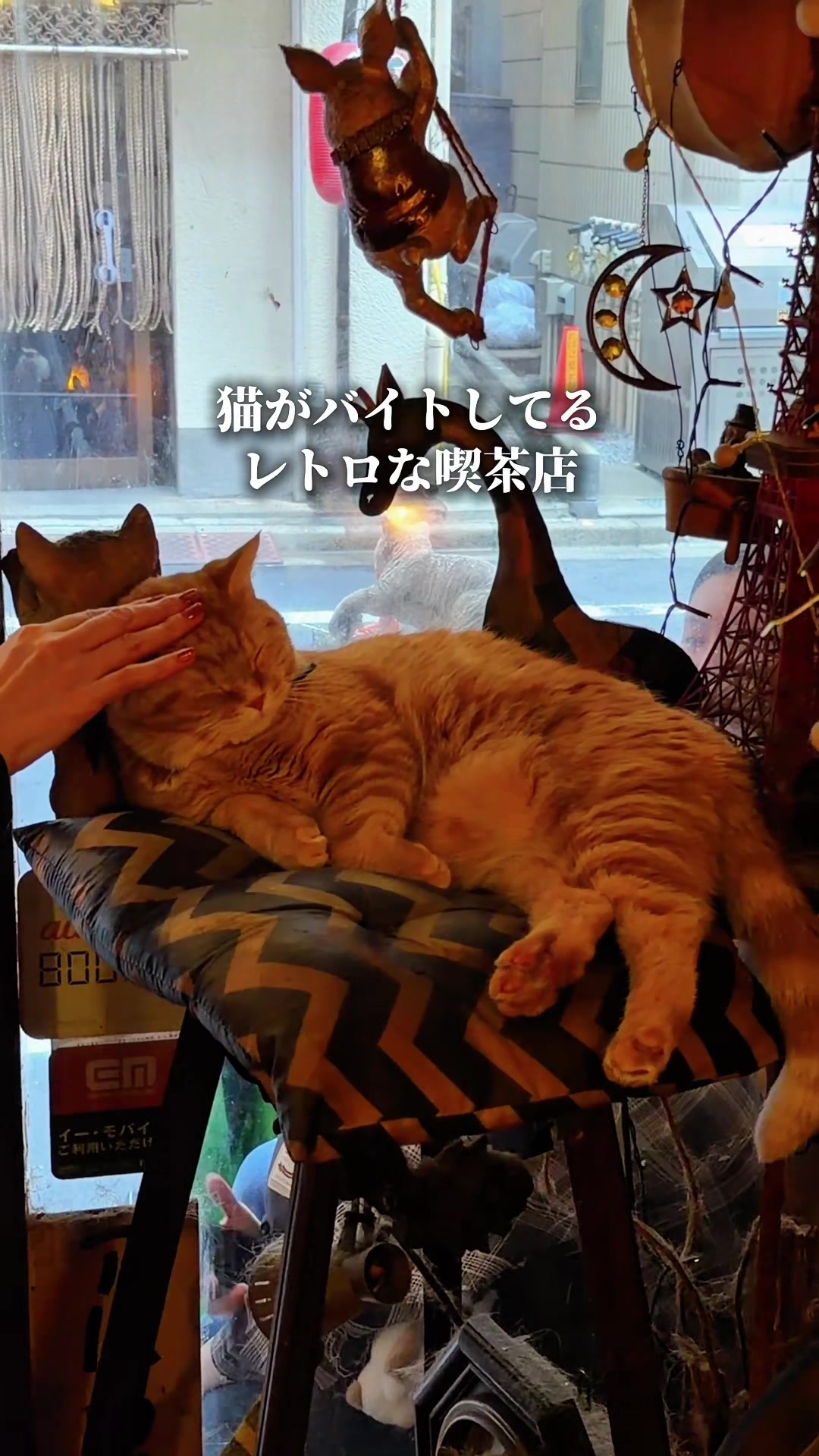 @ハル|東京グルメ・新大久保
