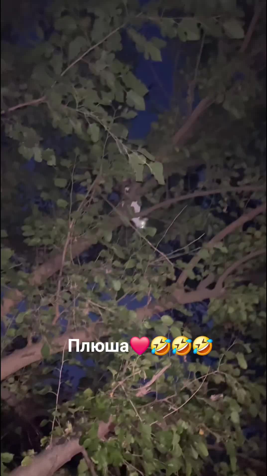 @natalia_chuprina