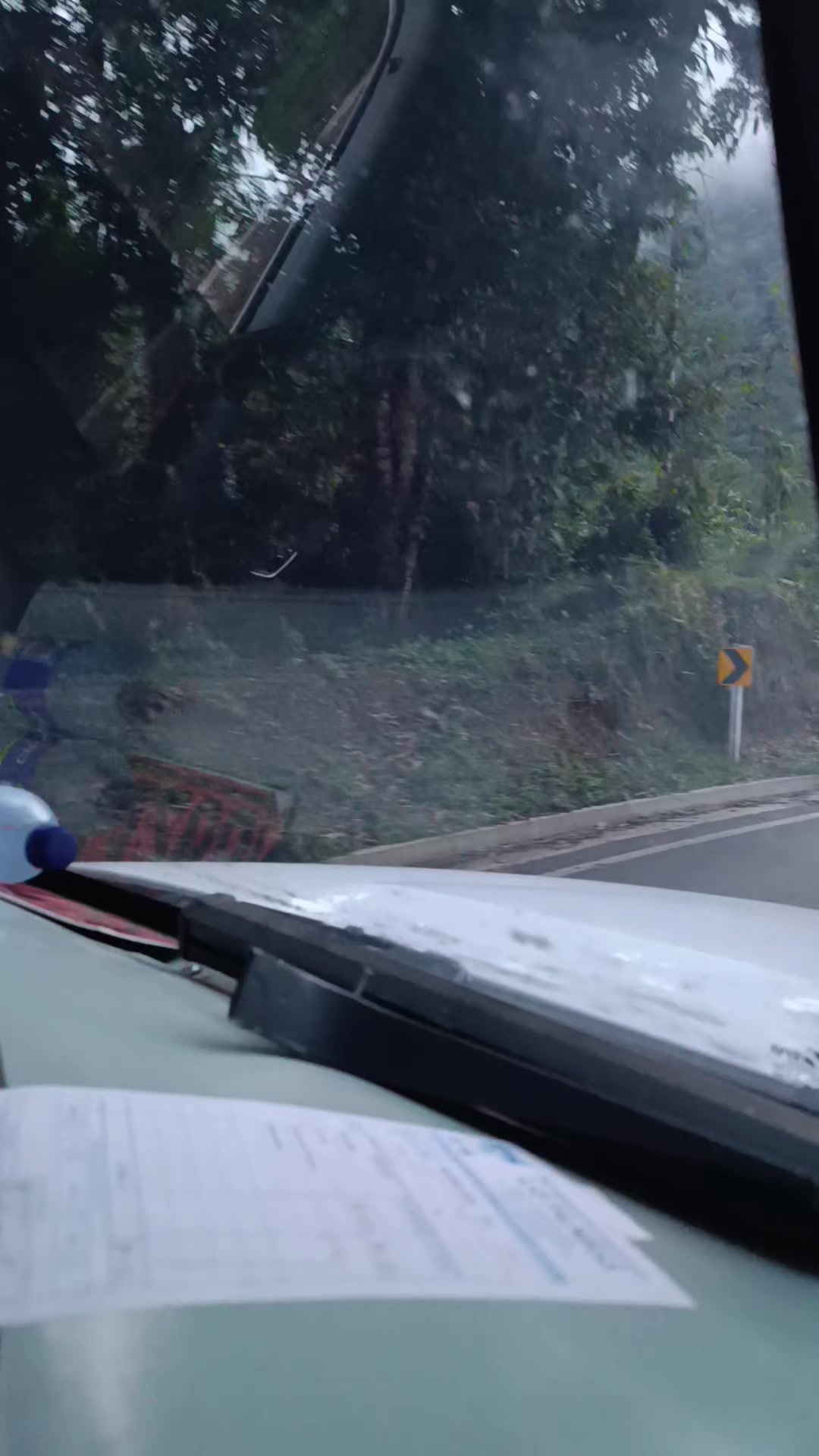 @Alex Páez 🇨🇴