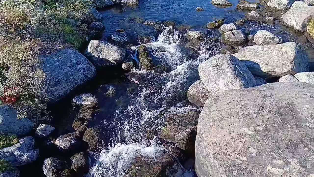 @Aapannguujuk