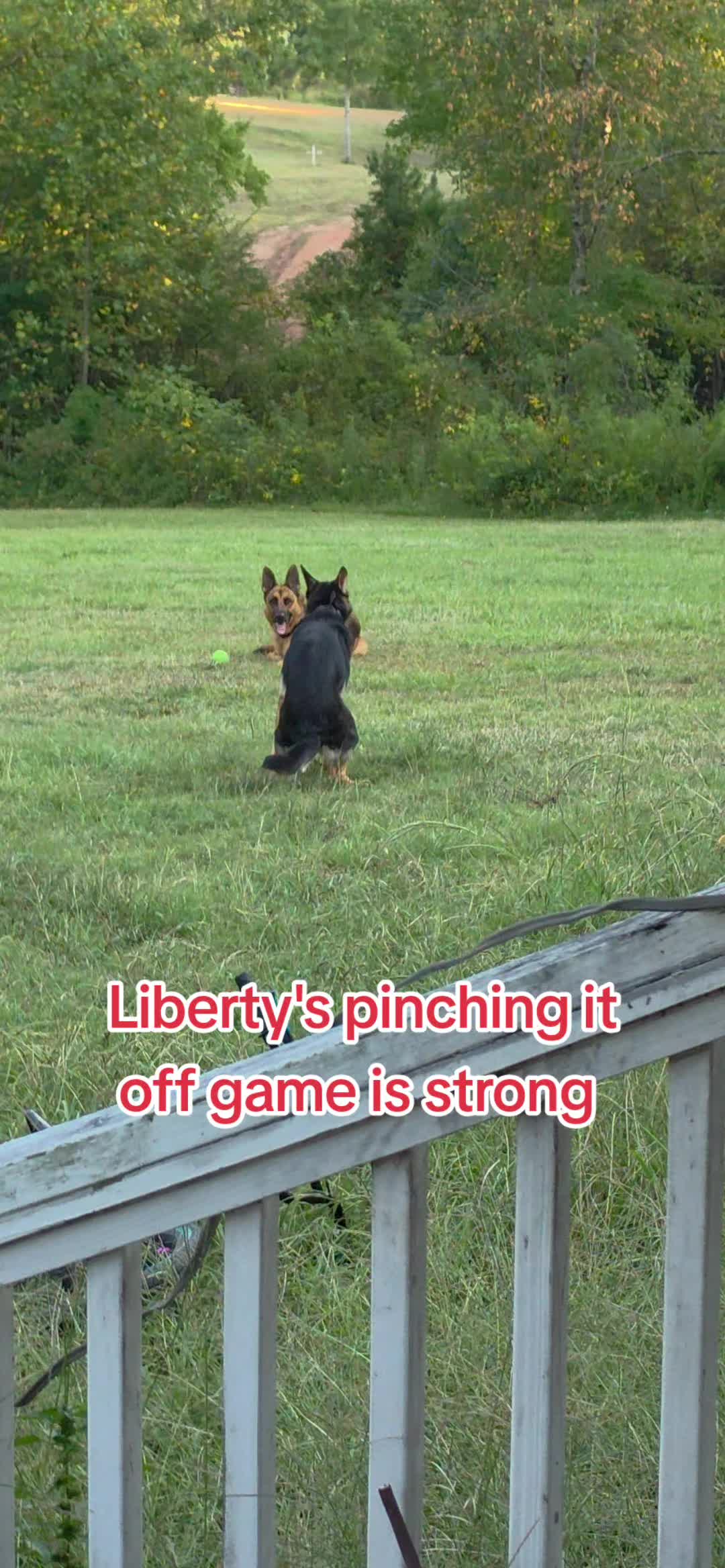 @Chase and Shelby and Liberty